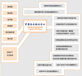 信息技術(shù)咨詢服務(wù) 中國(guó)物品編碼中心的核心職能與行業(yè)賦能