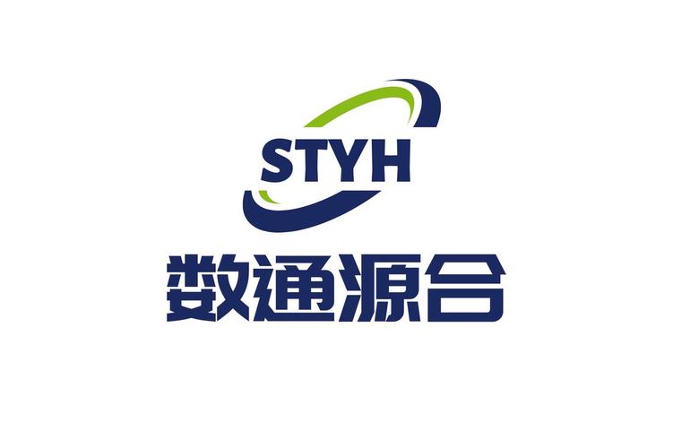 安徽數通源合信息技術 數字化浪潮中的智囊先鋒